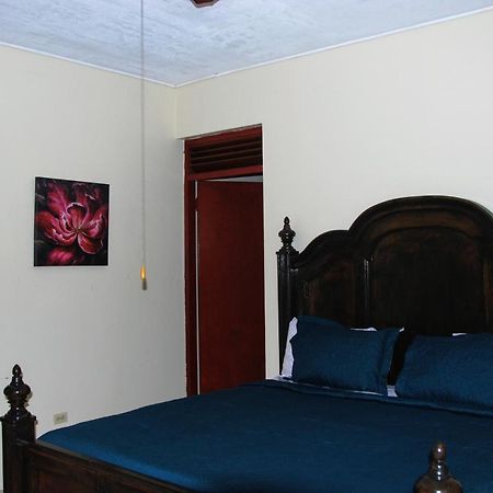 Jacks Hill Tropical Arcadia Otel Kingston Dış mekan fotoğraf