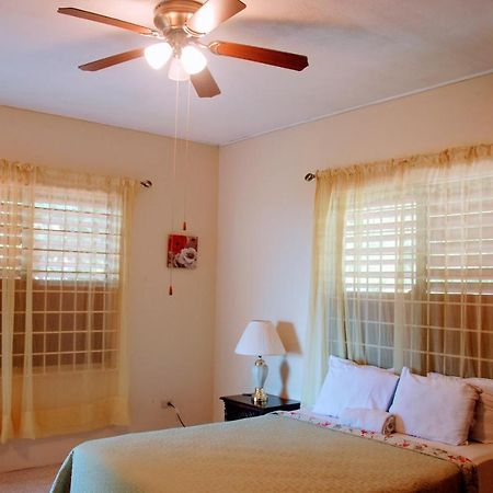 Jacks Hill Tropical Arcadia Otel Kingston Dış mekan fotoğraf