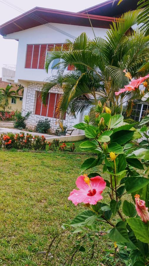 Jacks Hill Tropical Arcadia Otel Kingston Dış mekan fotoğraf
