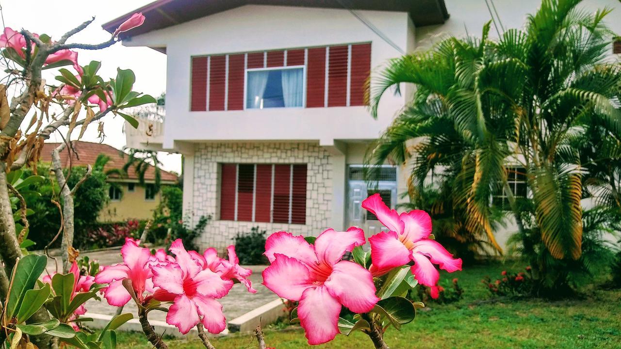 Jacks Hill Tropical Arcadia Otel Kingston Dış mekan fotoğraf