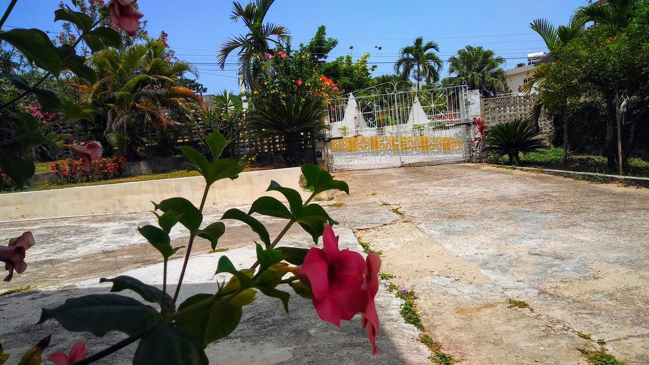Jacks Hill Tropical Arcadia Otel Kingston Dış mekan fotoğraf