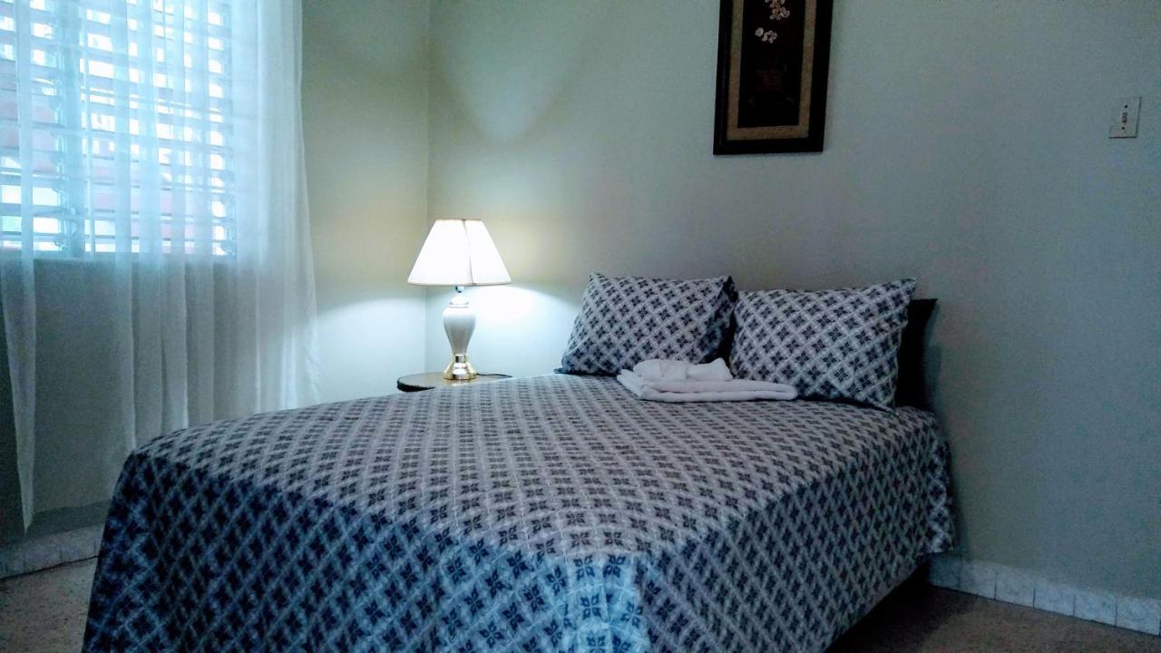 Jacks Hill Tropical Arcadia Otel Kingston Dış mekan fotoğraf