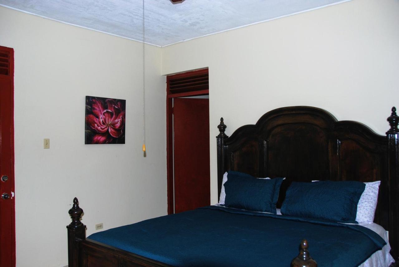 Jacks Hill Tropical Arcadia Otel Kingston Dış mekan fotoğraf