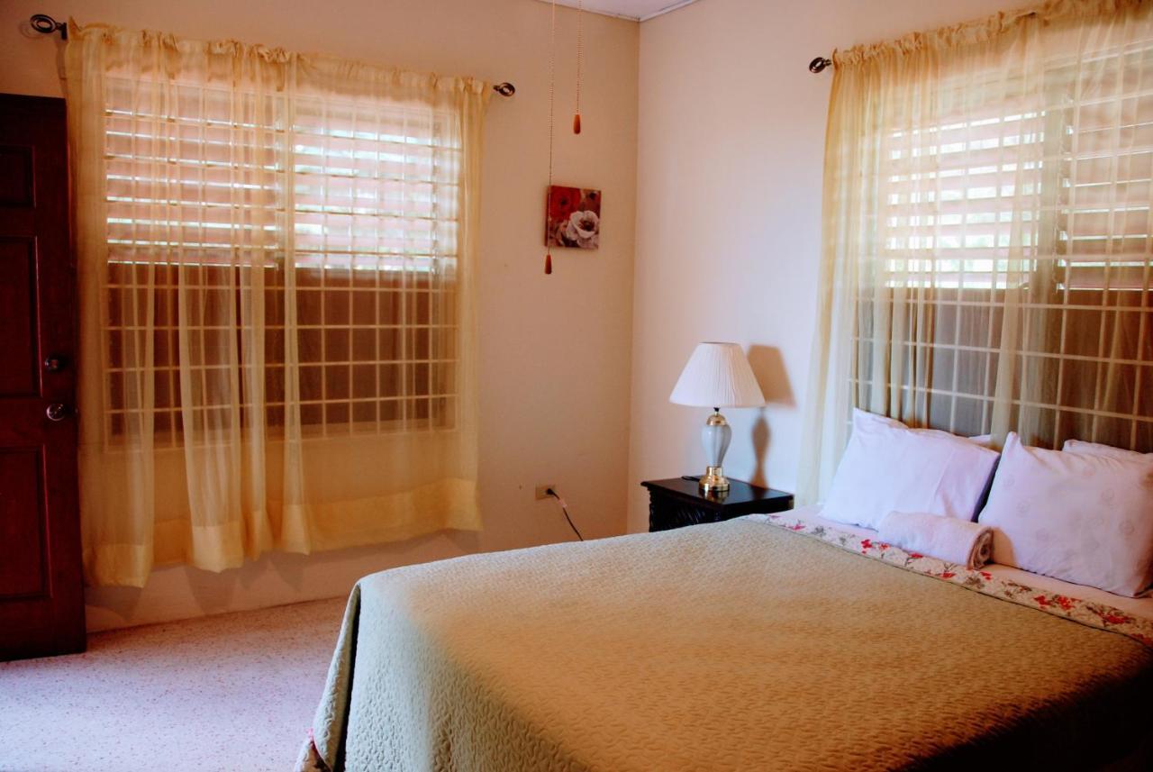 Jacks Hill Tropical Arcadia Otel Kingston Dış mekan fotoğraf