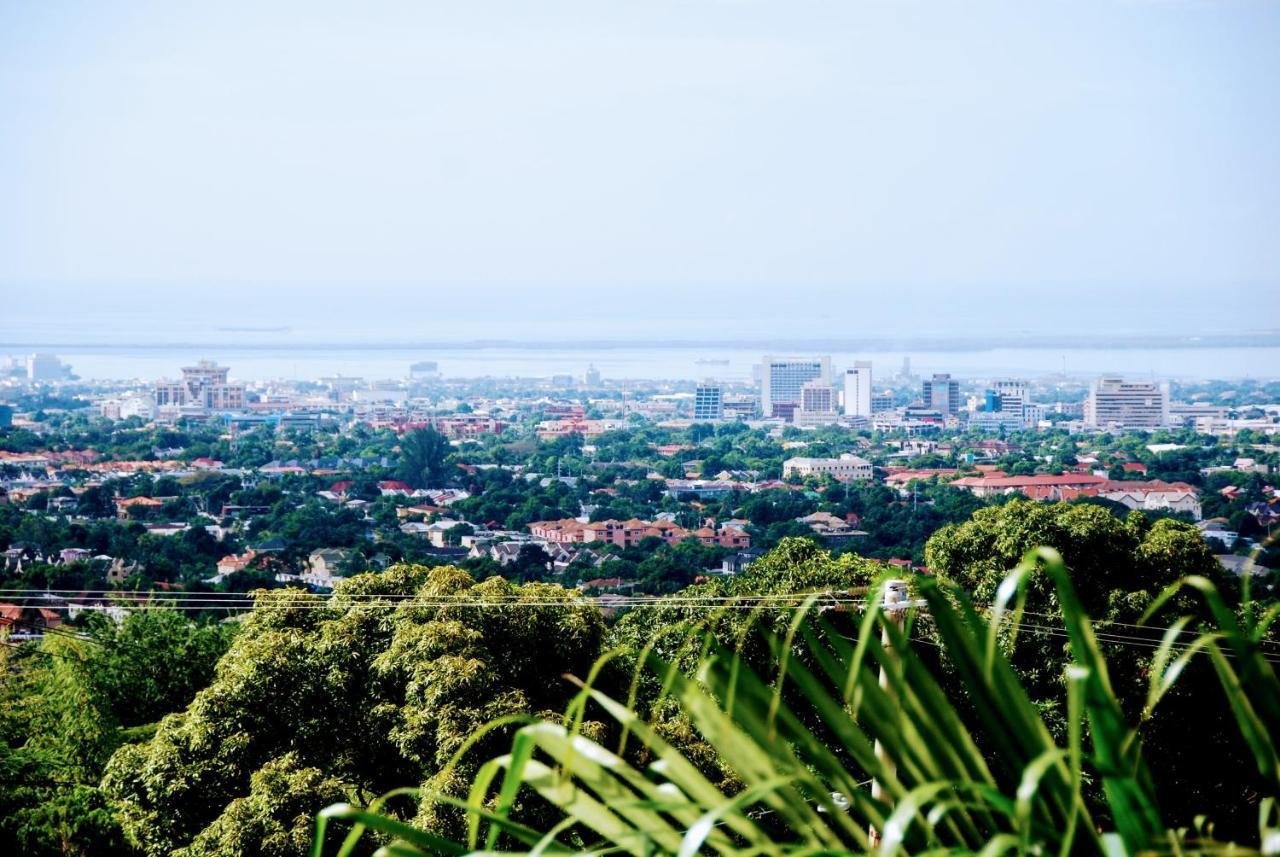 Jacks Hill Tropical Arcadia Otel Kingston Dış mekan fotoğraf
