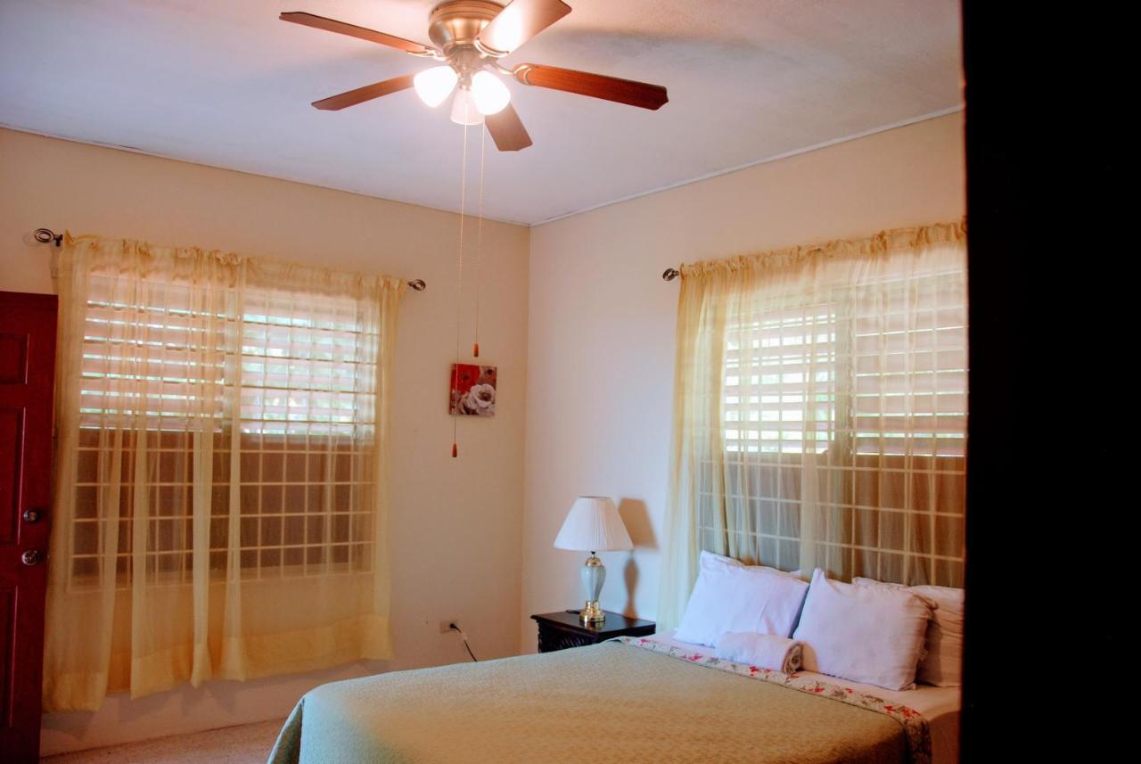 Jacks Hill Tropical Arcadia Otel Kingston Dış mekan fotoğraf