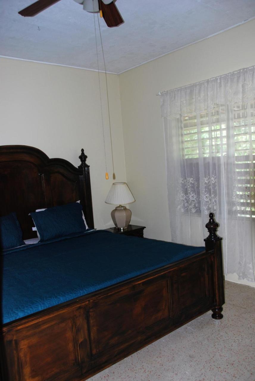 Jacks Hill Tropical Arcadia Otel Kingston Dış mekan fotoğraf