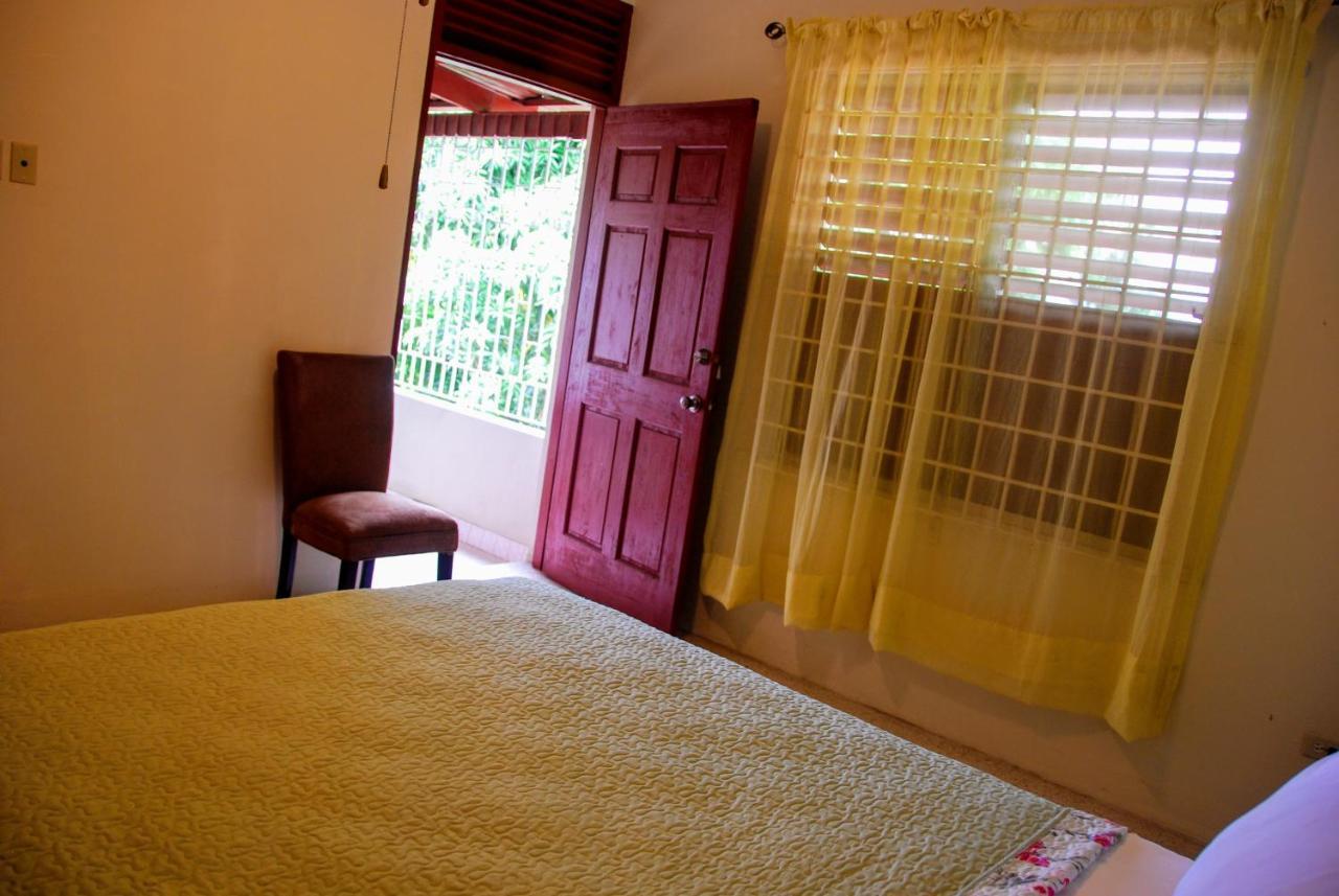 Jacks Hill Tropical Arcadia Otel Kingston Dış mekan fotoğraf
