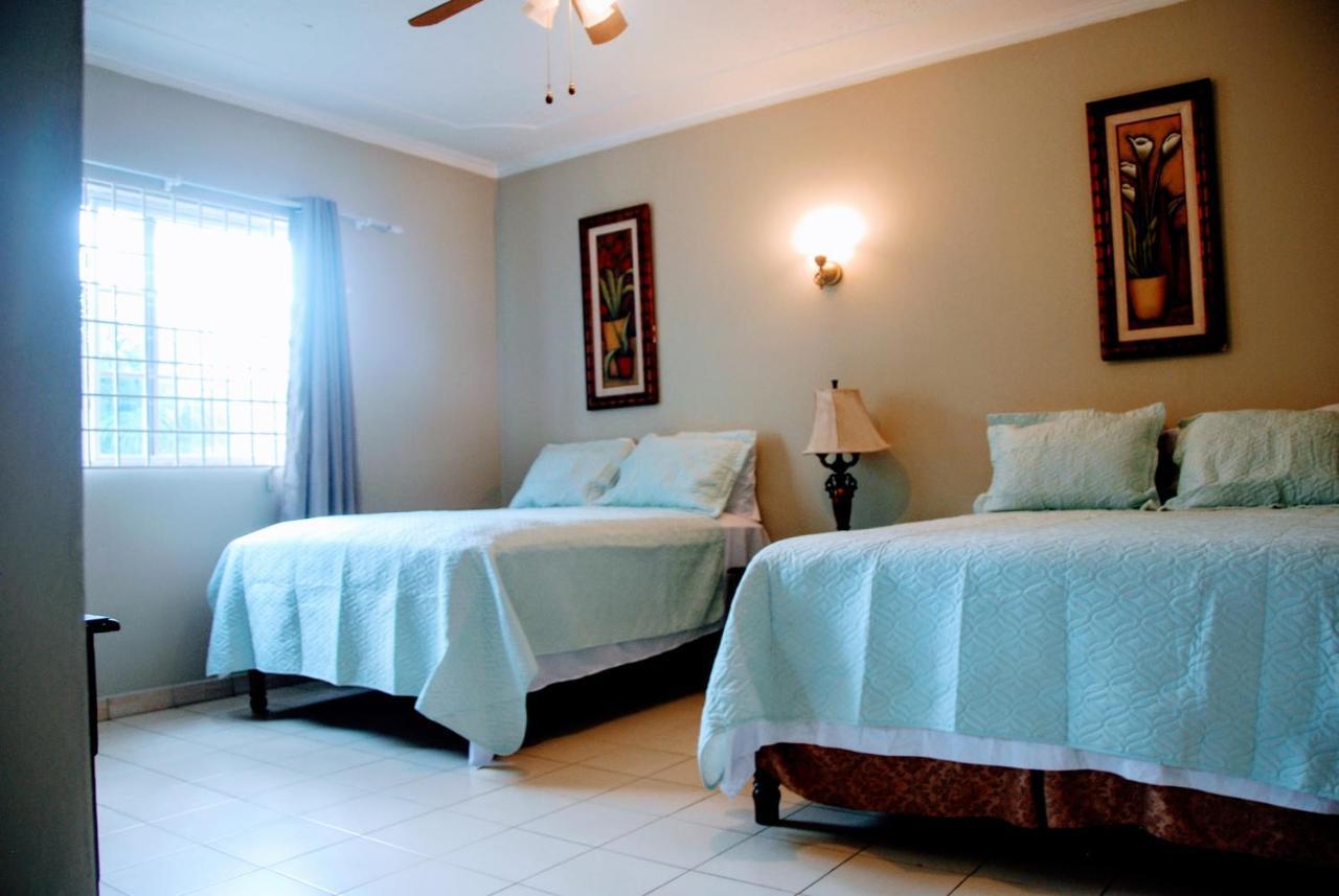 Jacks Hill Tropical Arcadia Otel Kingston Dış mekan fotoğraf
